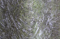 Farcet fibreglass roof work